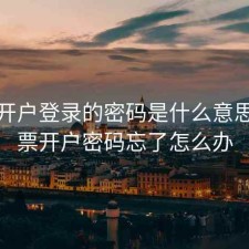 股票开户登录的密码是什么意思，股票开户密码忘了怎么办