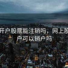 网上开户股票能注销吗，网上股票开户可以销户吗