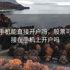 股票手机能直接开户吗，股票可以直接在手机上开户吗