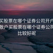 散户买股票在哪个证券公司开户比较好，散户买股票在哪个证券公司开户比较好呢