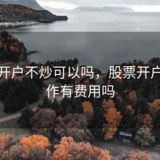 股票开户不炒可以吗，股票开户不操作有费用吗