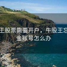 牛股王股票需要开户，牛股王忘记资金账号怎么办