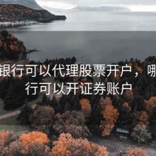 哪些银行可以代理股票开户，哪些银行可以开证券账户