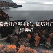 廊坊股票开户哪里好，廊坊开户哪个证券好