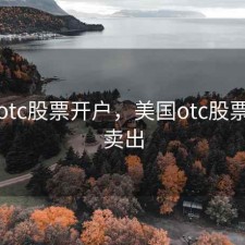 美国otc股票开户，美国otc股票怎么卖出
