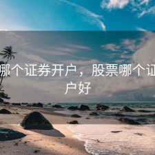 股票哪个证券开户，股票哪个证券开户好
