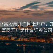 东方财富股票开户网上开户，东方财富网开户是什么证券公司