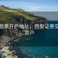 西安股票开户地址，西安证券交易所开户