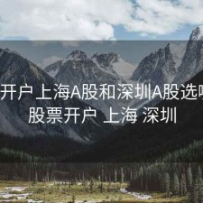 股票开户上海A股和深圳A股选哪个，股票开户 上海 深圳