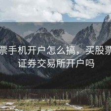 买股票手机开户怎么搞，买股票要到证券交易所开户吗