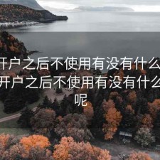 股票开户之后不使用有没有什么影响，股票开户之后不使用有没有什么影响呢