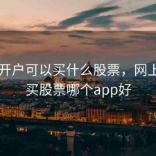 网上开户可以买什么股票，网上开户买股票哪个app好