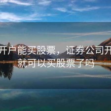 证券开户能买股票，证券公司开户后就可以买股票了吗
