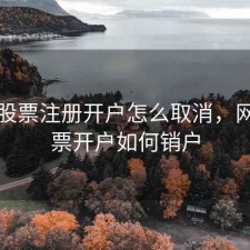 网上股票注册开户怎么取消，网上股票开户如何销户