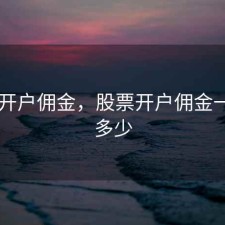 股票 开户佣金，股票开户佣金一般是多少