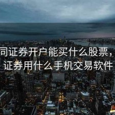 在大同证券开户能买什么股票，大同证券用什么手机交易软件