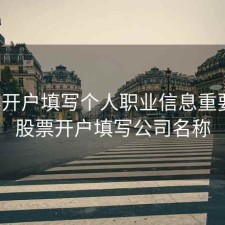 股票开户填写个人职业信息重要吗，股票开户填写公司名称
