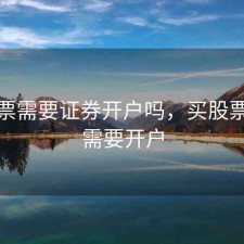 买股票需要证券开户吗，买股票需不需要开户