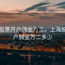 上海股票开户佣金万二，上海股票开户佣金万二多少
