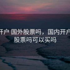国内开户 国外股票吗，国内开户 国外股票吗可以买吗