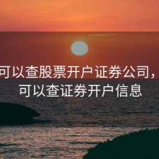 哪里可以查股票开户证券公司，哪里可以查证券开户信息