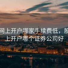 股票网上开户哪家手续费低，股票网上开户哪个证券公司好