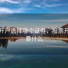 股票开户选择哪个证券，股票开户需要什么