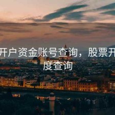 股票开户资金账号查询，股票开户进度查询