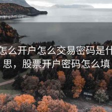股票怎么开户怎么交易密码是什么意思，股票开户密码怎么填