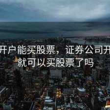 证券开户能买股票，证券公司开户后就可以买股票了吗
