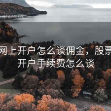 股票网上开户怎么谈佣金，股票网上开户手续费怎么谈