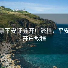 买股票平安证券开户流程，平安证券开户教程