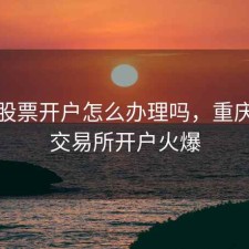 重庆股票开户怎么办理吗，重庆证券交易所开户火爆