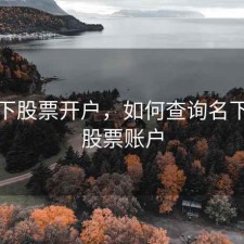查名下股票开户，如何查询名下所有股票账户