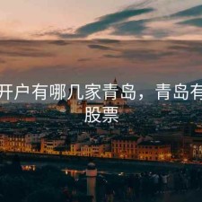 股票开户有哪几家青岛，青岛有哪些股票