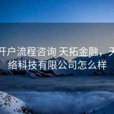 股票开户流程咨询 天拓金融，天拓网络科技有限公司怎么样
