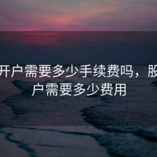 股票开户需要多少手续费吗，股票开户需要多少费用