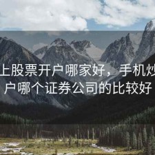 手机上股票开户哪家好，手机炒股开户哪个证券公司的比较好