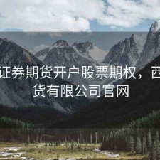 西南证券期货开户股票期权，西南期货有限公司官网