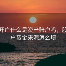 股票开户什么是资产账户吗，股票开户资金来源怎么填