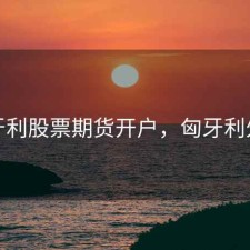 匈牙利股票期货开户，匈牙利外汇