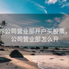 到证券公司营业部开户买股票，证券公司营业部怎么开