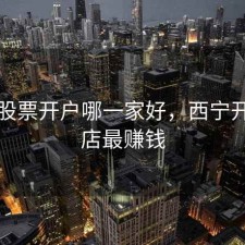 西宁股票开户哪一家好，西宁开什么店最赚钱