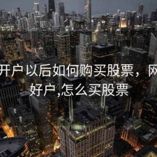网上开户以后如何购买股票，网上开好户,怎么买股票