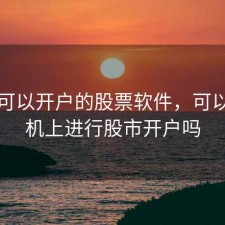 手机可以开户的股票软件，可以在手机上进行股市开户吗