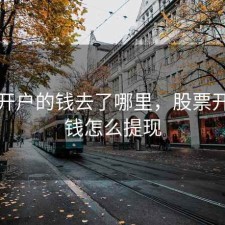股票开户的钱去了哪里，股票开户的钱怎么提现