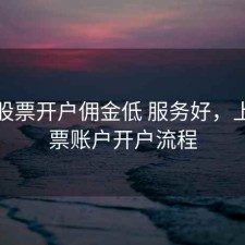 上海股票开户佣金低 服务好，上海股票账户开户流程