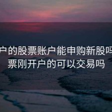 刚开户的股票账户能申购新股吗，股票刚开户的可以交易吗