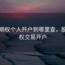 股票期权个人开户到哪里查，股票期权交易开户