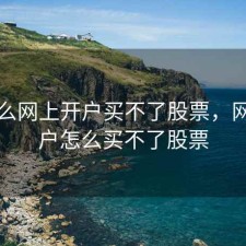 为什么网上开户买不了股票，网上开户怎么买不了股票